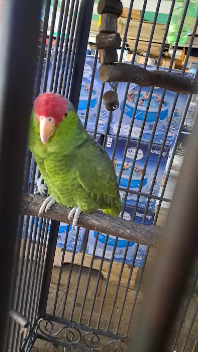 la Granja Pet Shop Picture 3