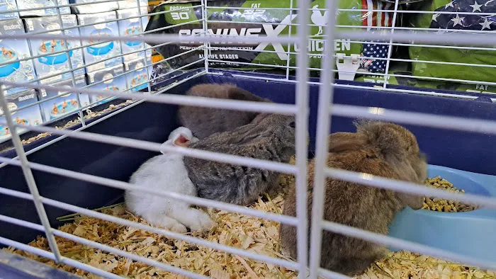 la Granja Pet Shop Picture 6