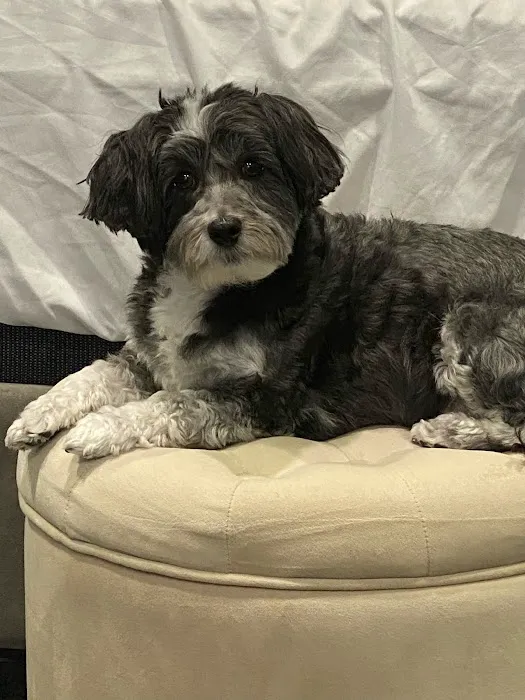 Banfield Pet Hospital Picture 4