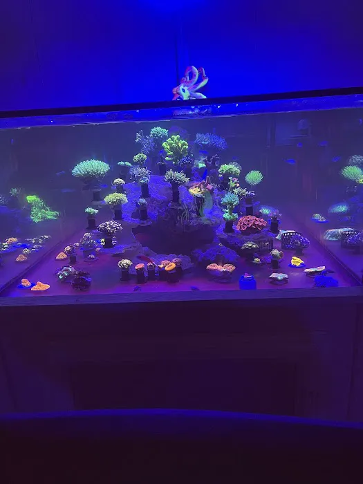 OMG Jesus Coral Picture 1