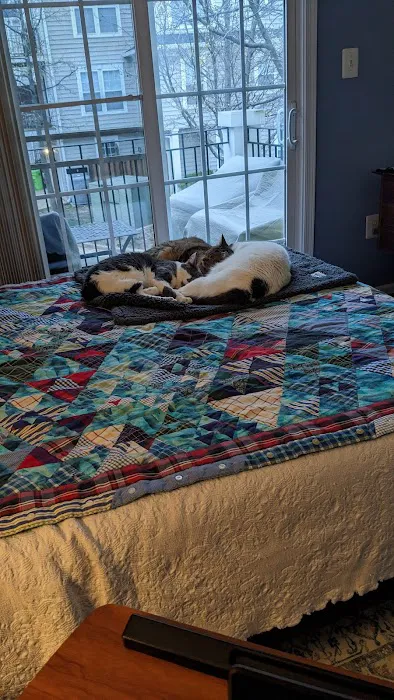 Elpaw Veterinary Clinic Picture 2