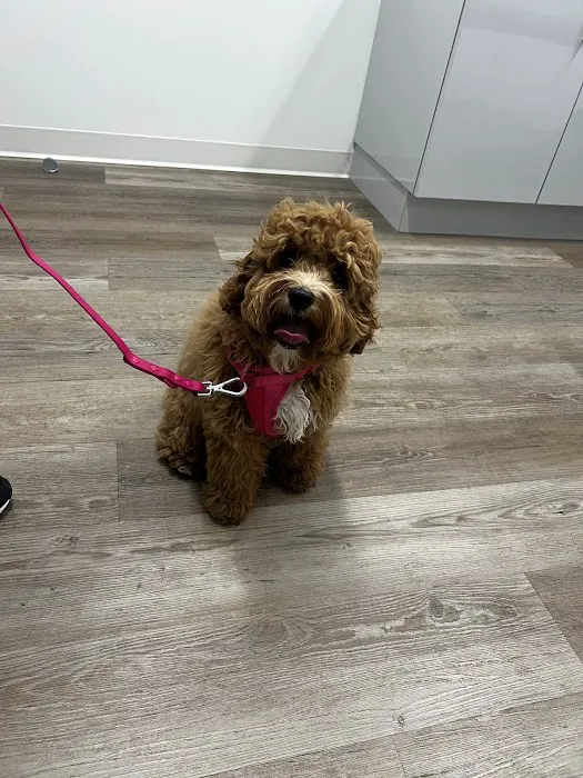Elpaw Veterinary Clinic Picture 1