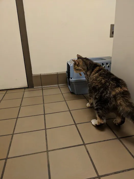Elpaw Veterinary Clinic Picture 5