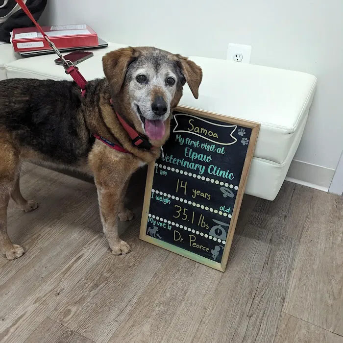 Elpaw Veterinary Clinic Picture 8