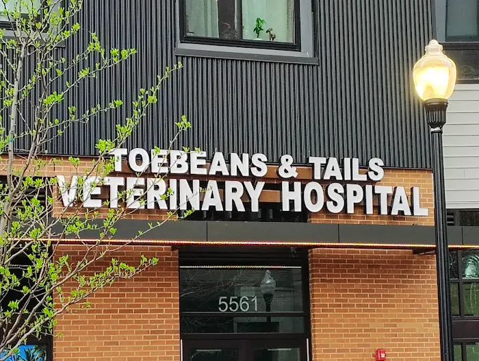 Toebeans & Tails Veterinary Hospital Picture 1