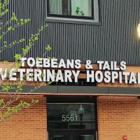 Toebeans & Tails Veterinary Hospital ico