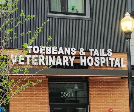 Toebeans & Tails Veterinary Hospital