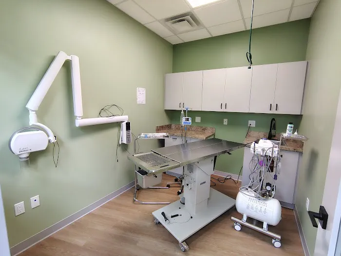 Toebeans & Tails Veterinary Hospital Picture 2