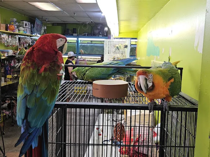 Pet shop Los angelitos Picture 9
