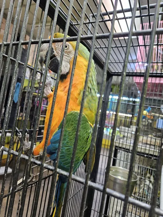 Pet shop Los angelitos Picture 8