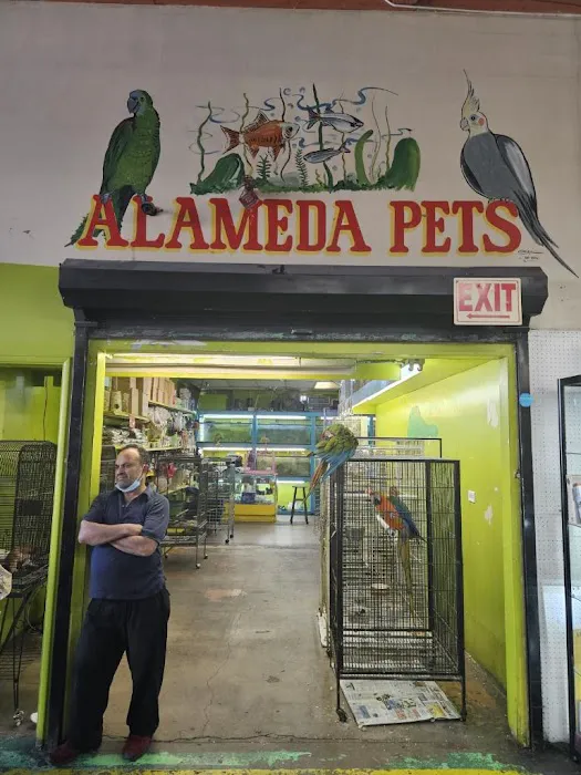 Pet shop Los angelitos Picture 7