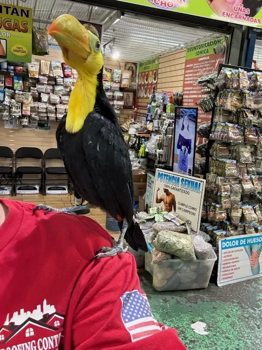 Pet shop Los angelitos Picture 6