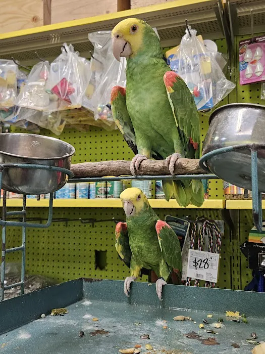 Pet shop Los angelitos Picture 10