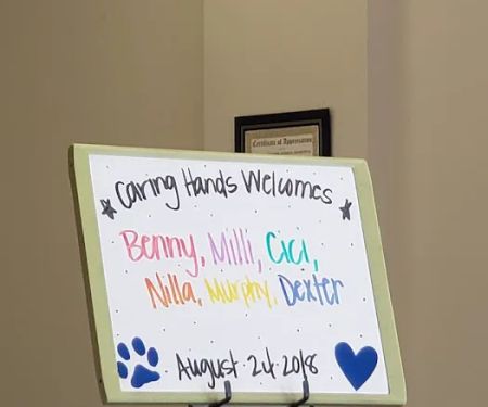 Caring Hands Animal Hospital - Alexandria