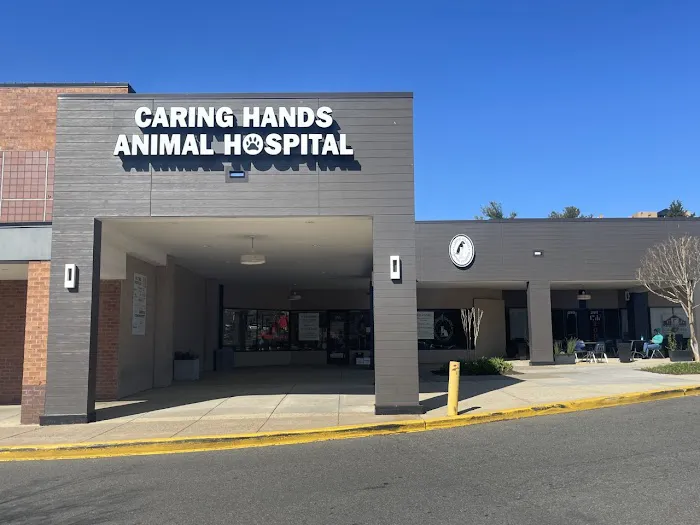 Caring Hands Animal Hospital - Alexandria Picture 9