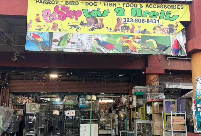 Las Dos Arelis Pet Shop & Exotic Birds Picture 1