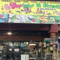 Las Dos Arelis Pet Shop & Exotic Birds ico
