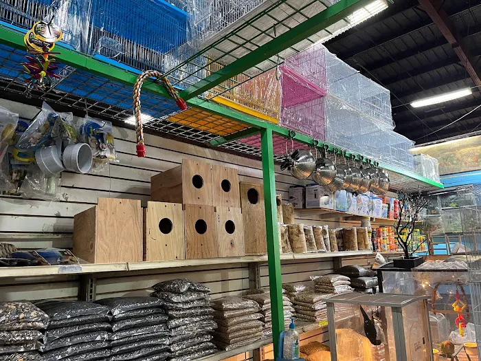 Las Dos Arelis Pet Shop & Exotic Birds Picture 4