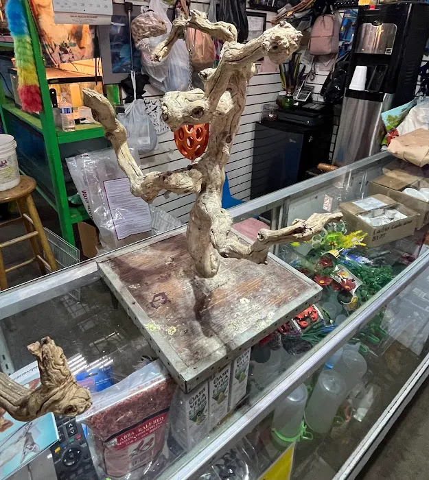 Las Dos Arelis Pet Shop & Exotic Birds Picture 6