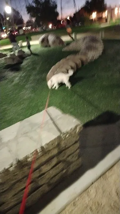 Jurado's Pet Shop Picture 10