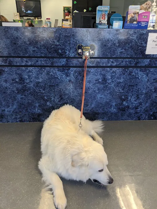 Fort Belvoir Veterinary Center Picture 6