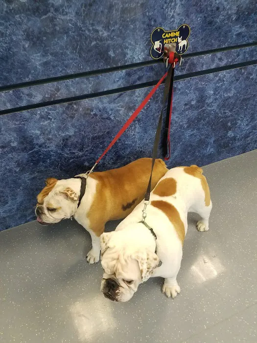 Fort Belvoir Veterinary Center Picture 7