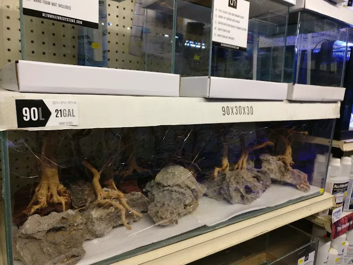 Lotus Aquarium Picture 1