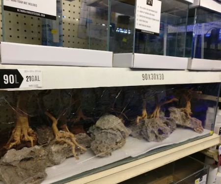 Lotus Aquarium