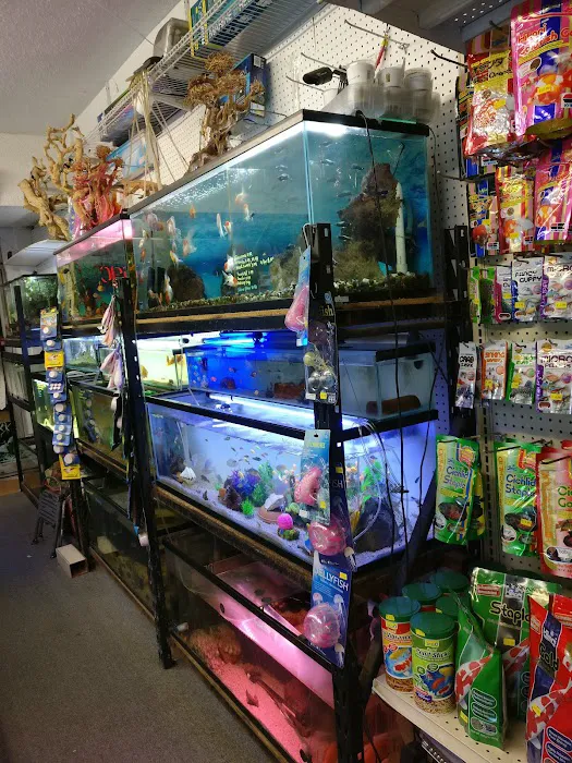 Lotus Aquarium Picture 4