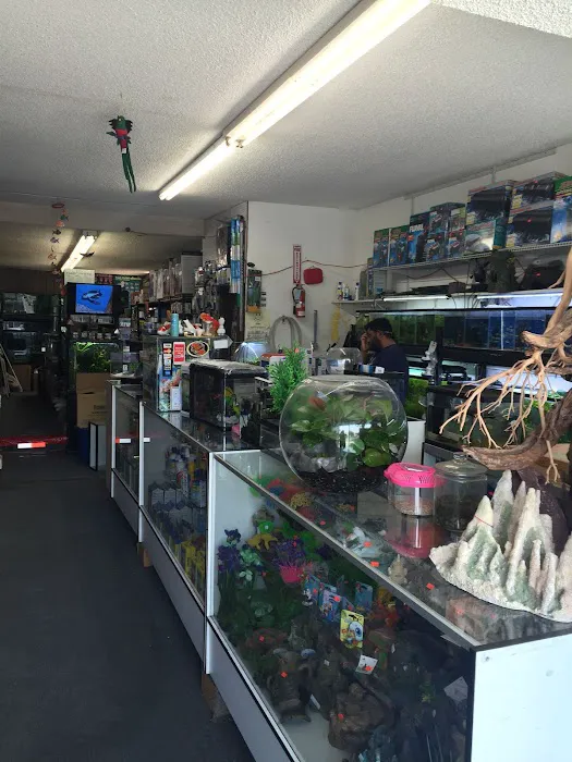 Lotus Aquarium Picture 10