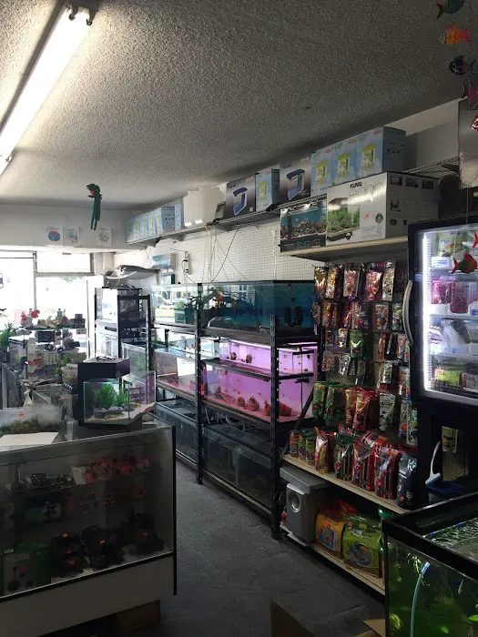 Lotus Aquarium Picture 7