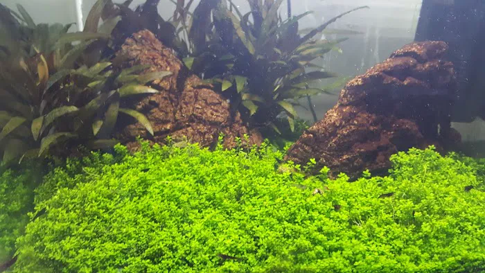 Transworld Aquatic Enterprises, Inc. Picture 1