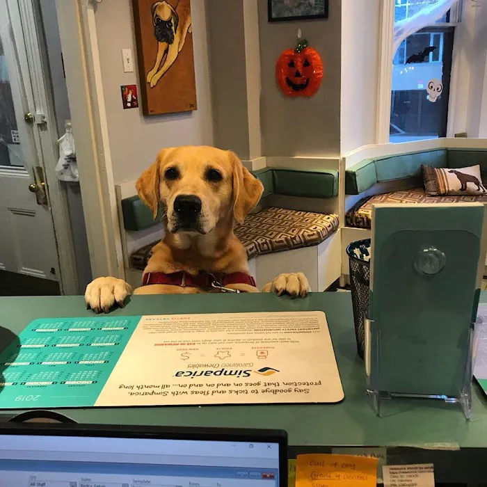 Dupont Veterinary Clinic Picture 6