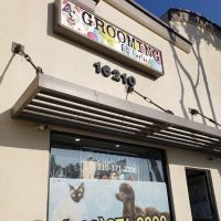 Petland ico