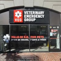 Veterinary Emergency Group ico