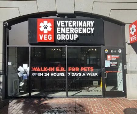 Veterinary Emergency Group