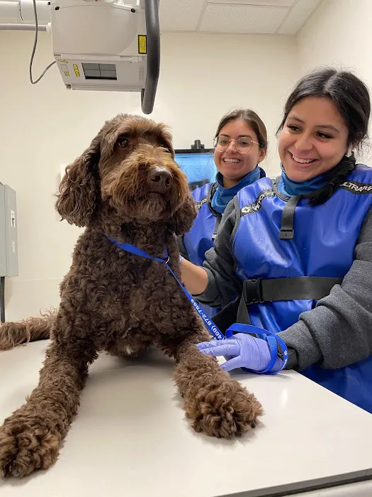 Veterinary Emergency Group Picture 10