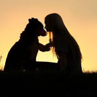 Collins Hospital for Animals ico