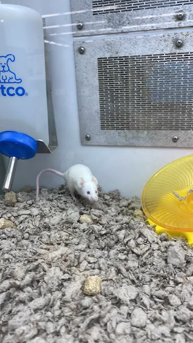 Petco Picture 1