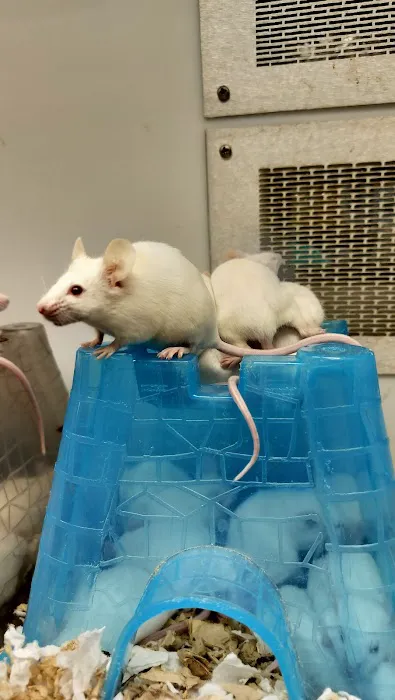 Petco Picture 4