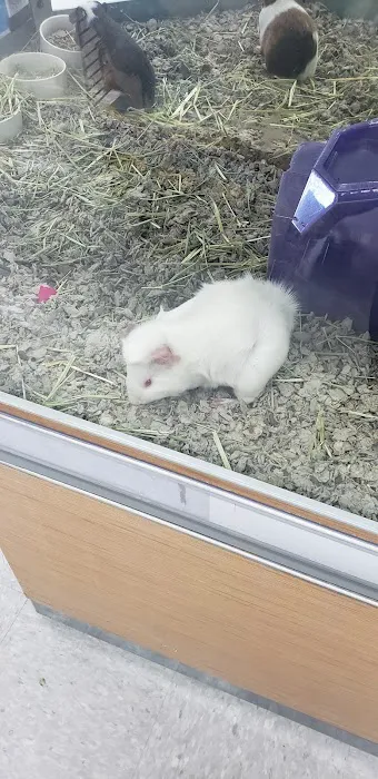 Petco Picture 7