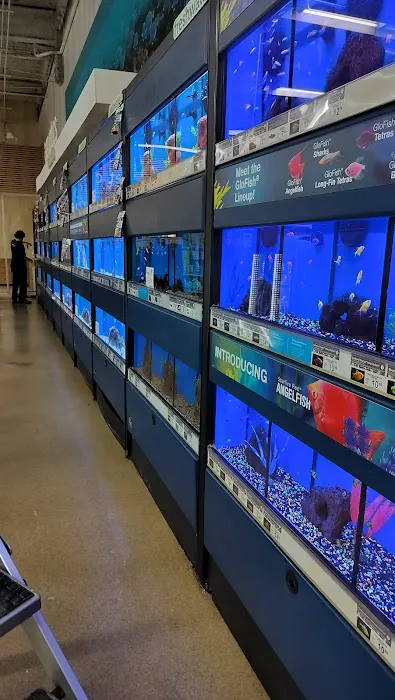 Petco Picture 3