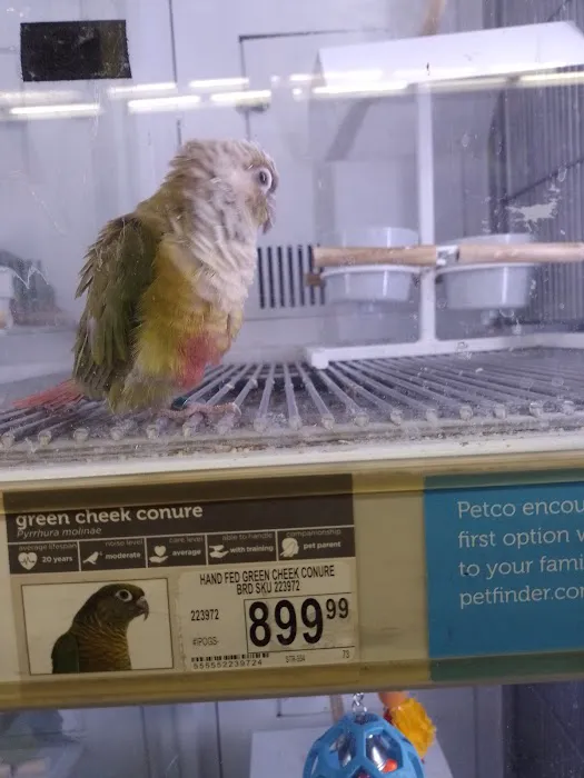Petco Picture 9
