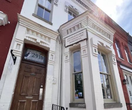 Georgetown Veterinary Hospital