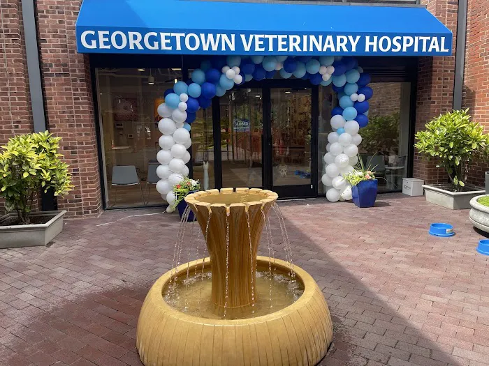 Georgetown Veterinary Hospital Picture 2