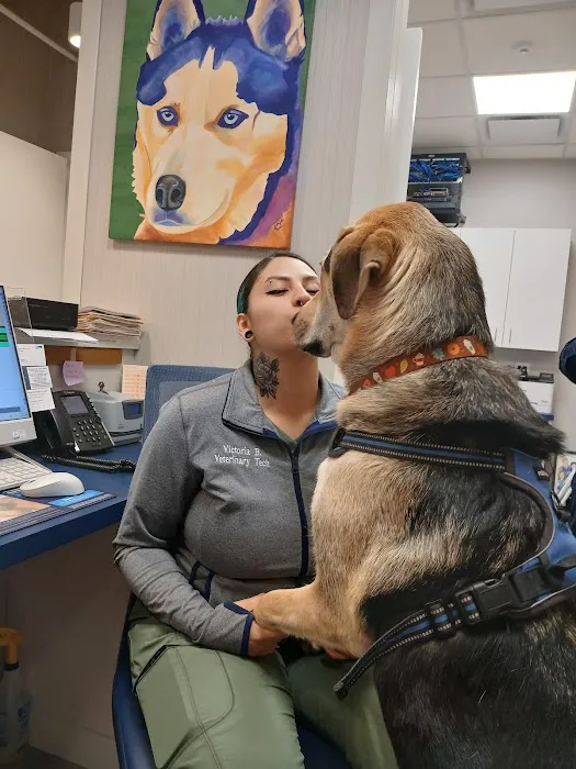 Georgetown Veterinary Hospital Picture 7