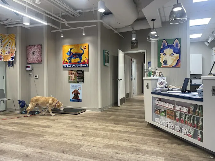Georgetown Veterinary Hospital Picture 10
