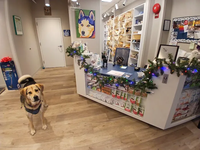 Georgetown Veterinary Hospital Picture 8