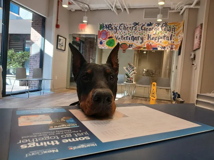 Georgetown Veterinary Hospital Picture 6