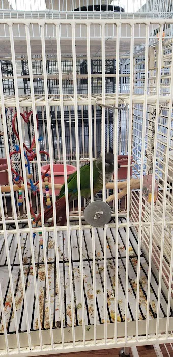 Birds & More Picture 6
